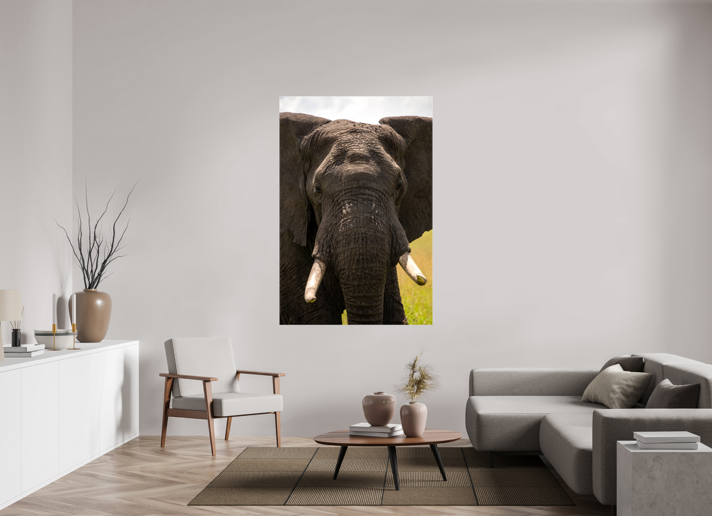 Elephant Headshot