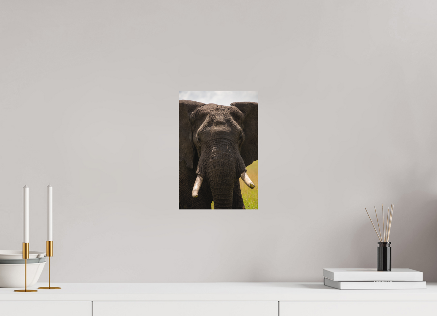 Elephant Headshot