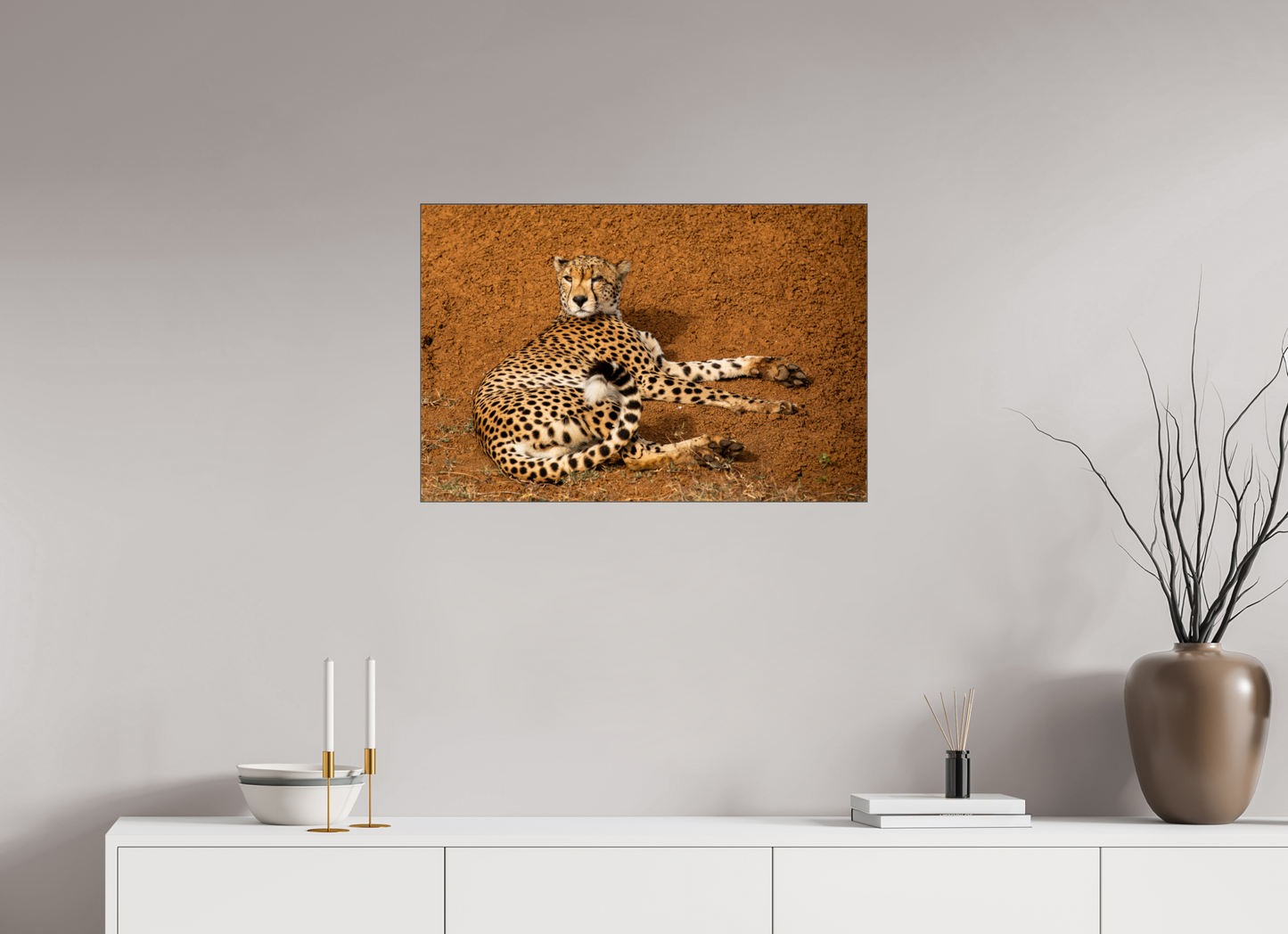 One Eyed Cheetah