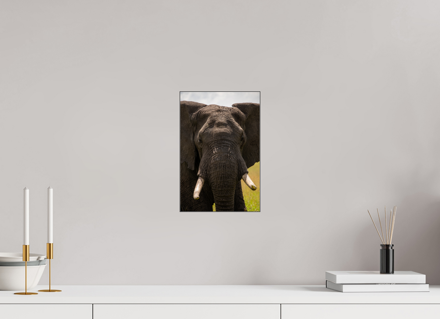 Elephant Headshot