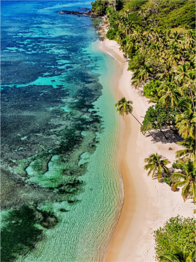 Fiji Coastline