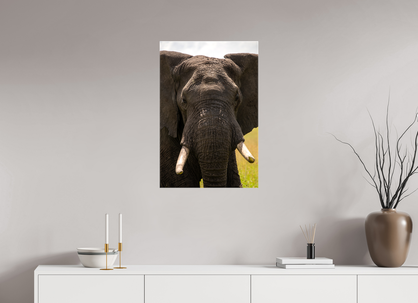 Elephant Headshot