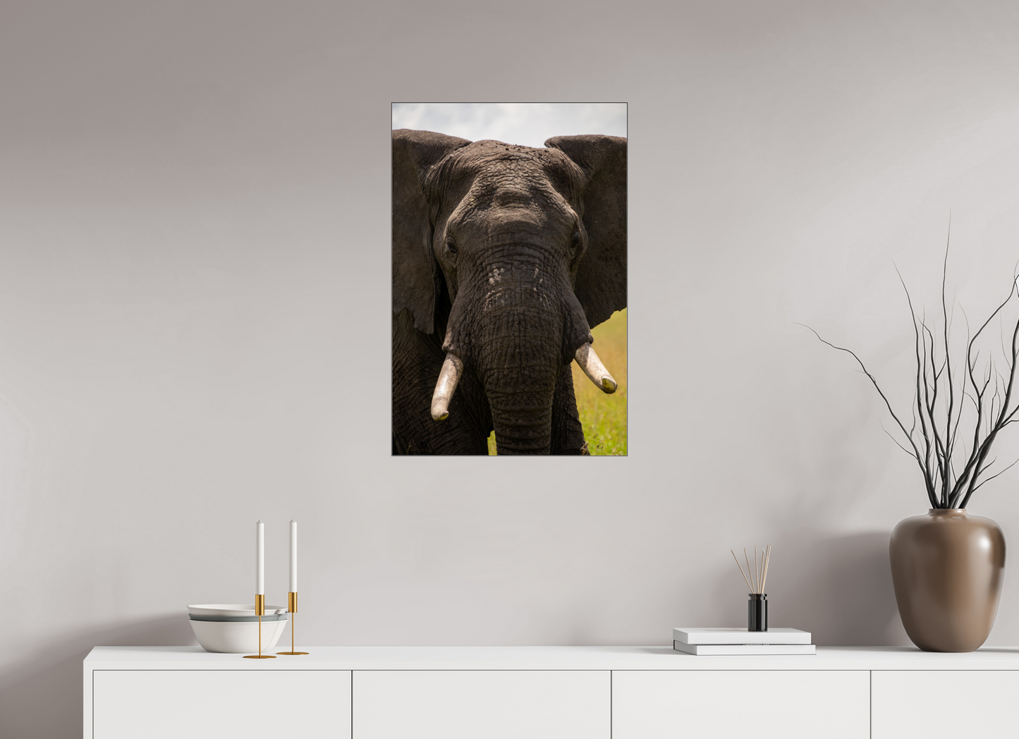Elephant Headshot