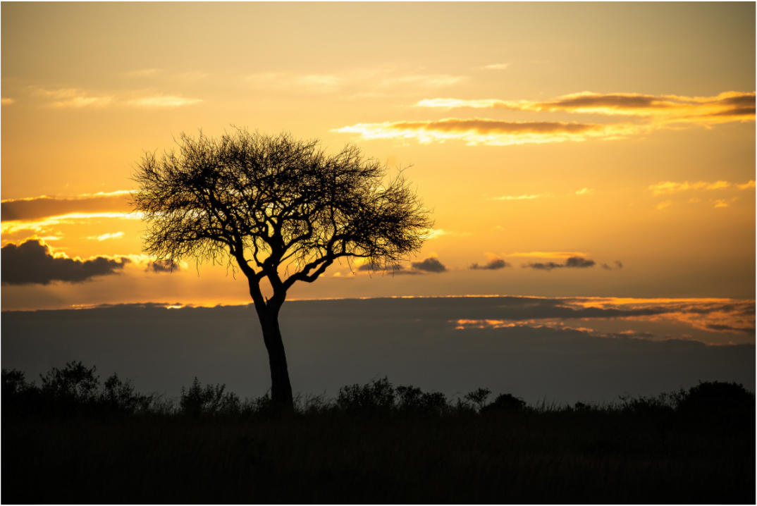Kenya Sunset