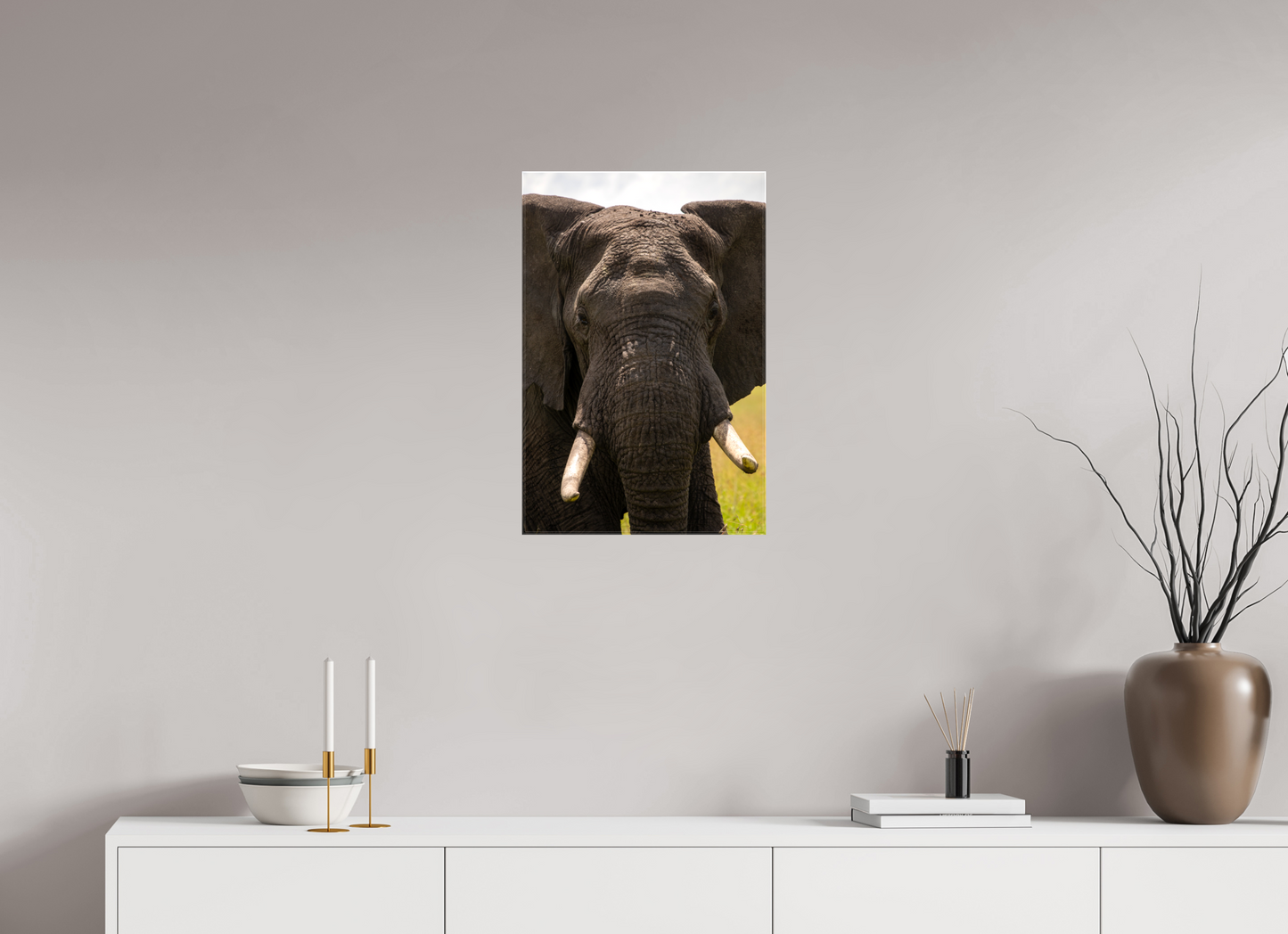 Elephant Headshot
