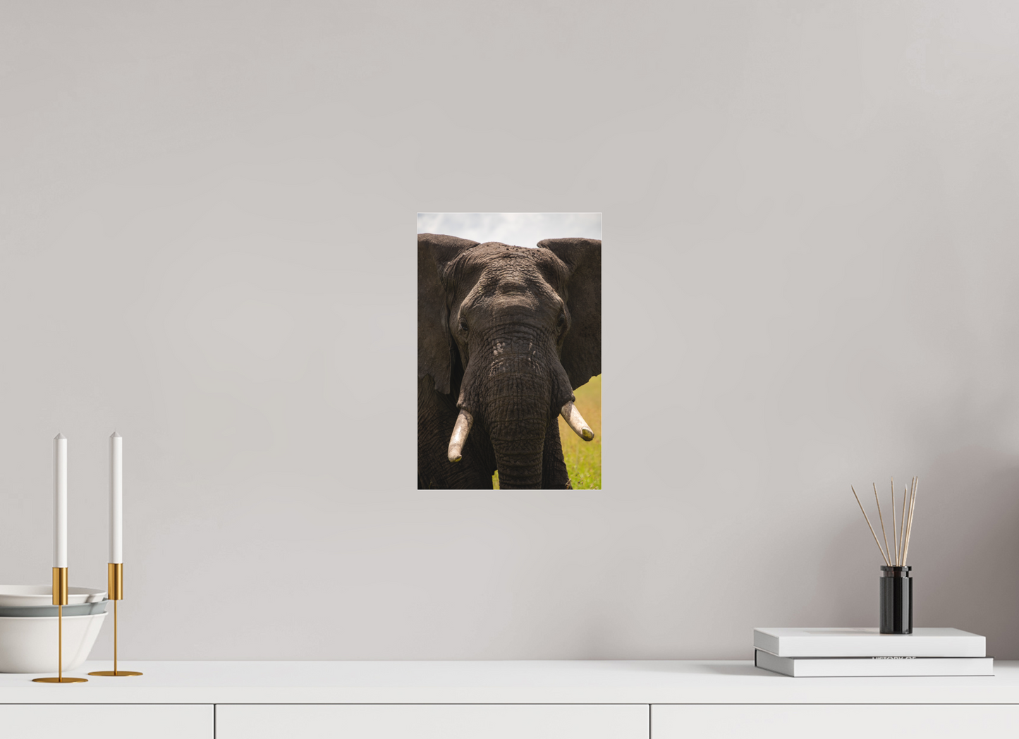 Elephant Headshot